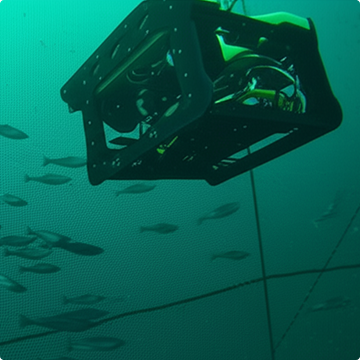 ROBOT SUBMARINO