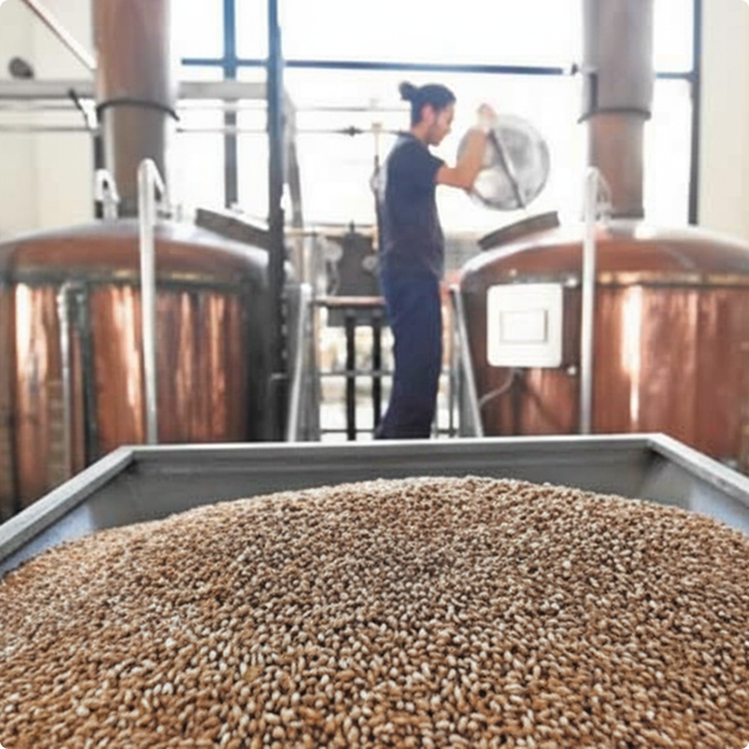 Productos para la Preparación del Mosto