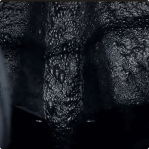 Thionocarbamatos