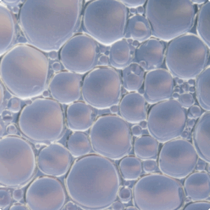 Surfactantes
